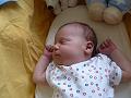 P1000576_enzo